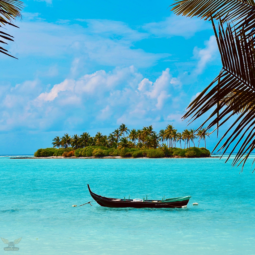 Vacation Planners