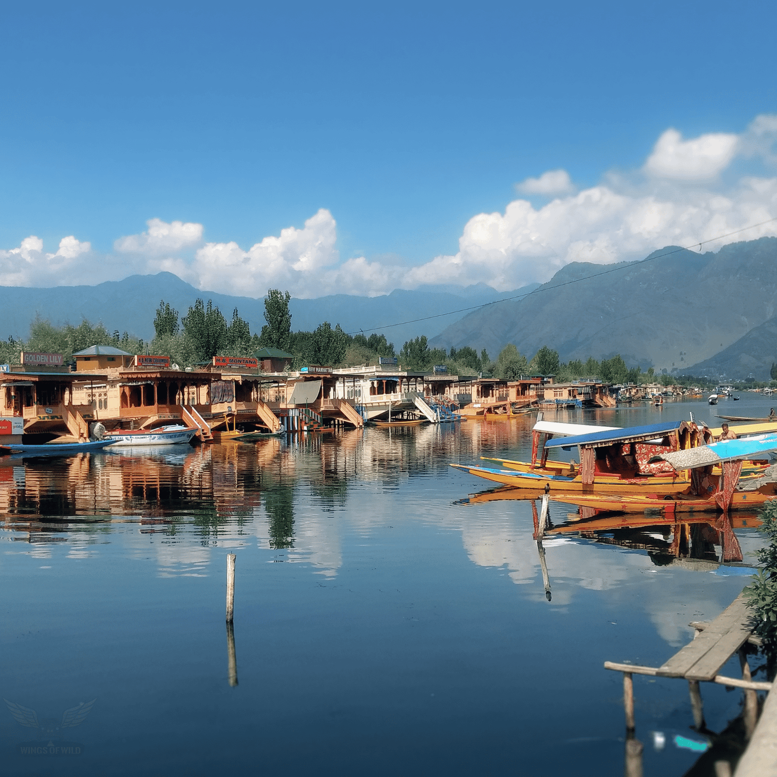 Royal Kashmir