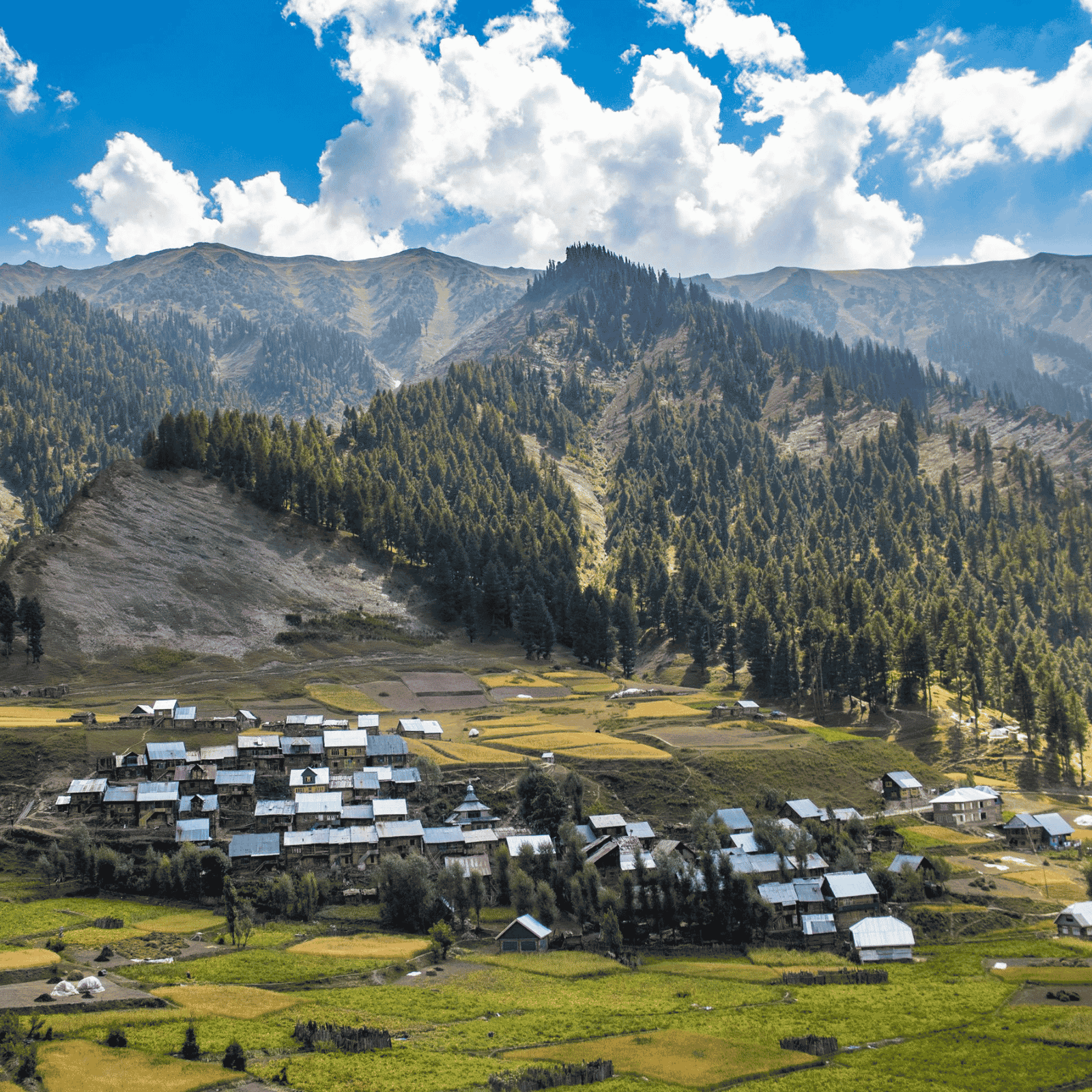 Kashmir Unseen